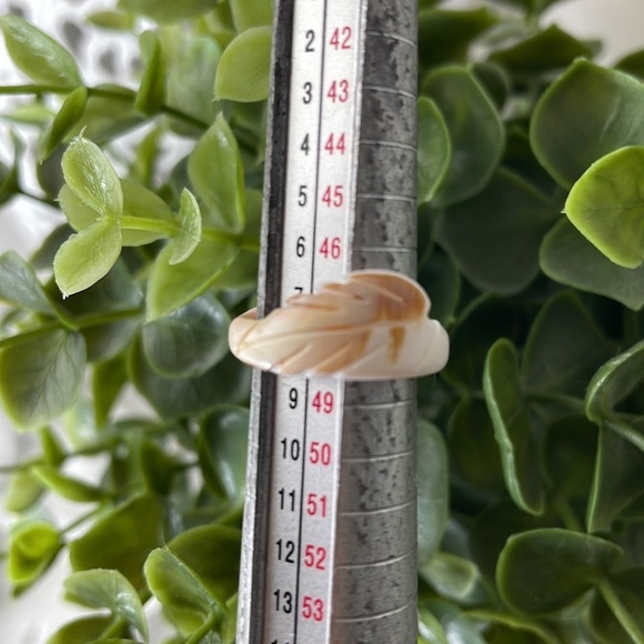 Shell Ring Carved Leaf Design - Picture 4 of 8